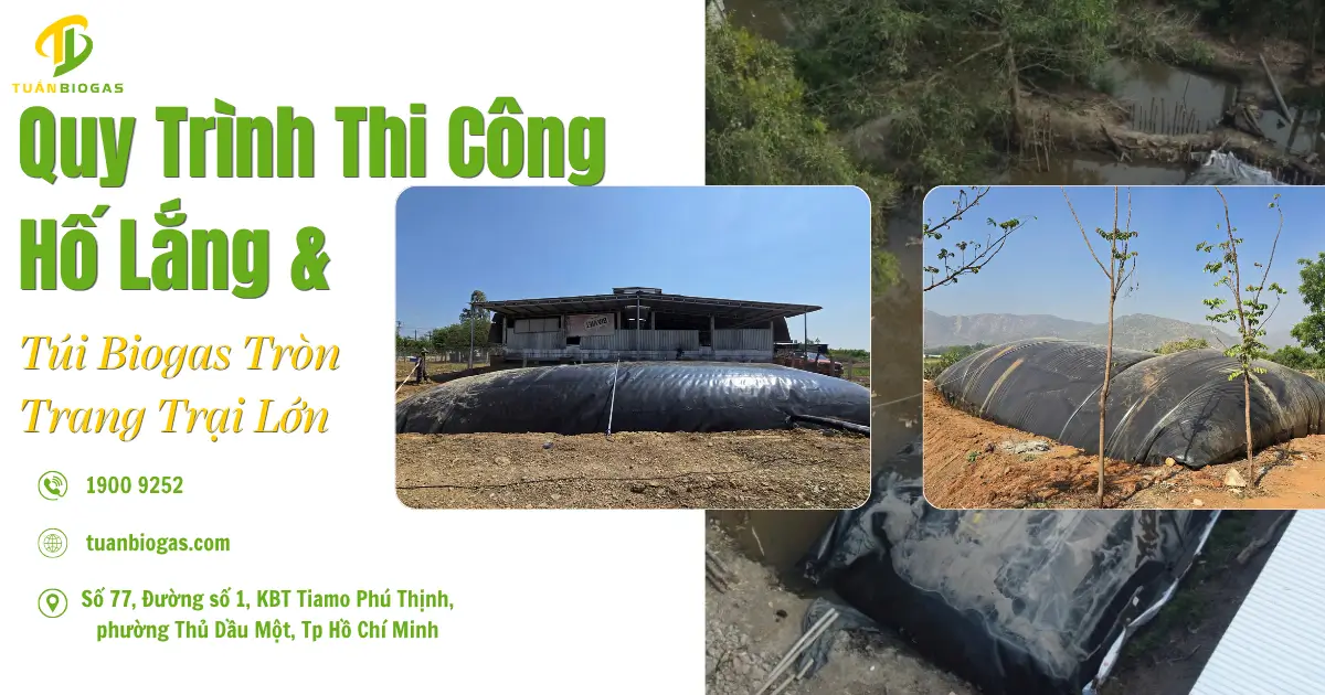 Quy Trình Thi Công Hố Gom Lắng Cặn Tập Trung & Lắp Đặt Túi Biogas Tròn Trang Trại Lớn
